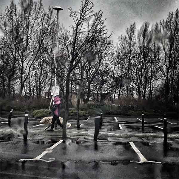 Philip Beattie Philip Beattie Walking the Dog